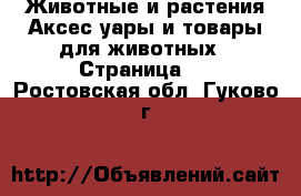 Животные и растения Аксесcуары и товары для животных - Страница 2 . Ростовская обл.,Гуково г.